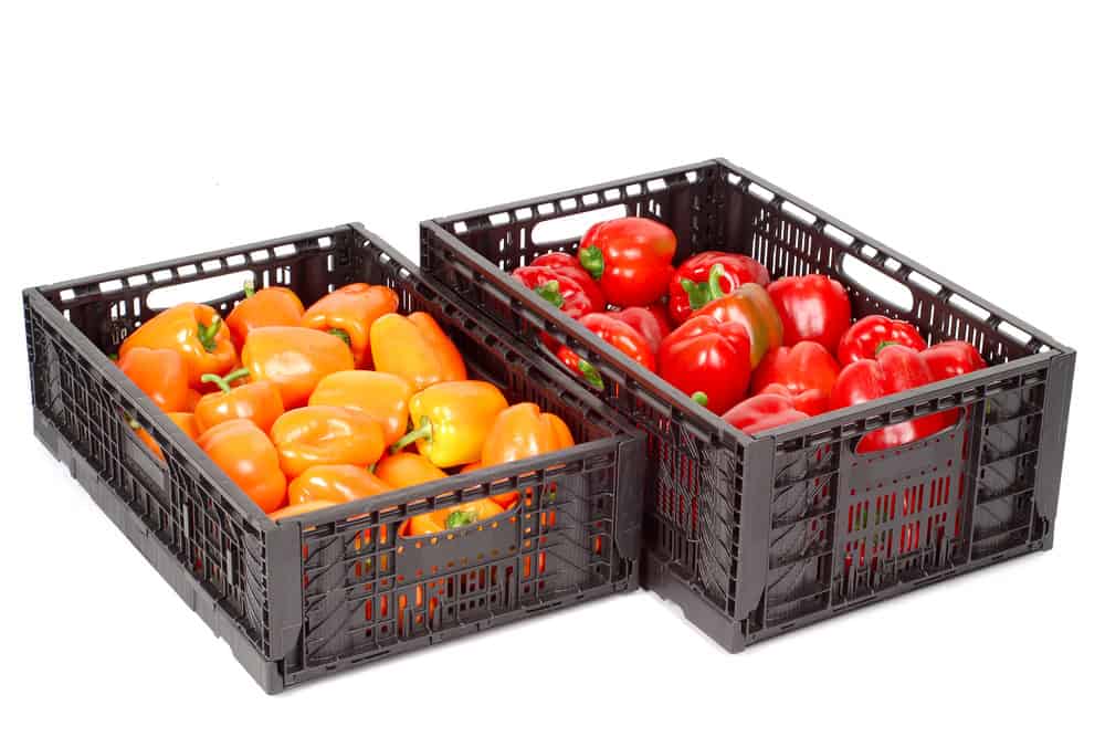 fruit and vegetable food crates