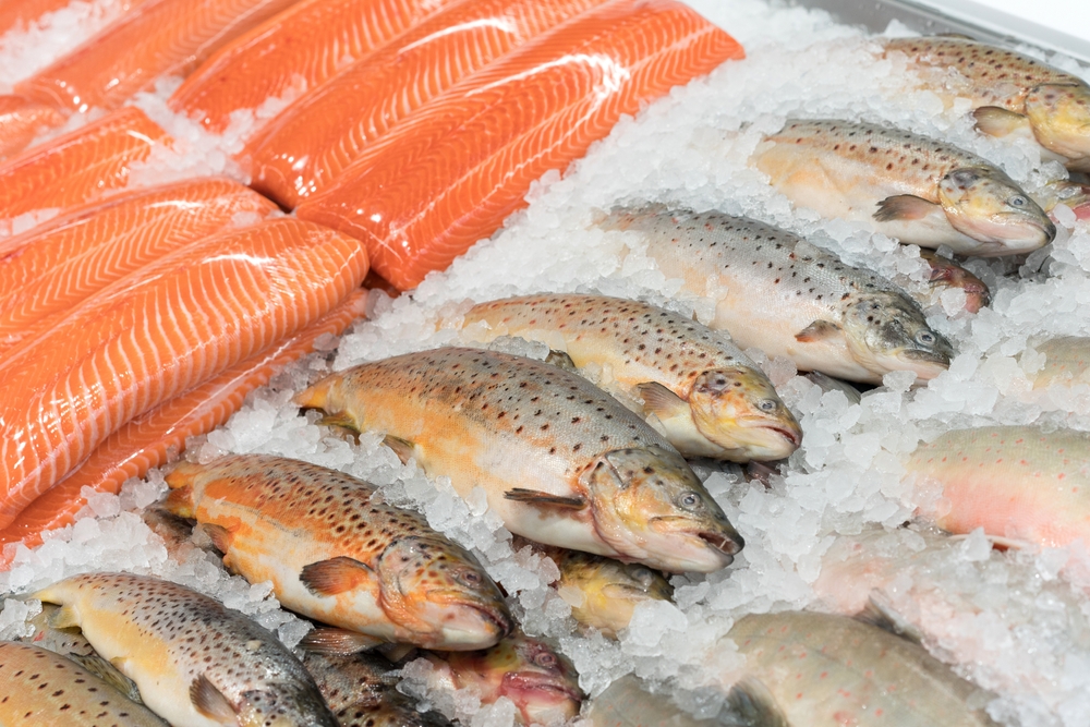 Chilled Fish at Market Stall