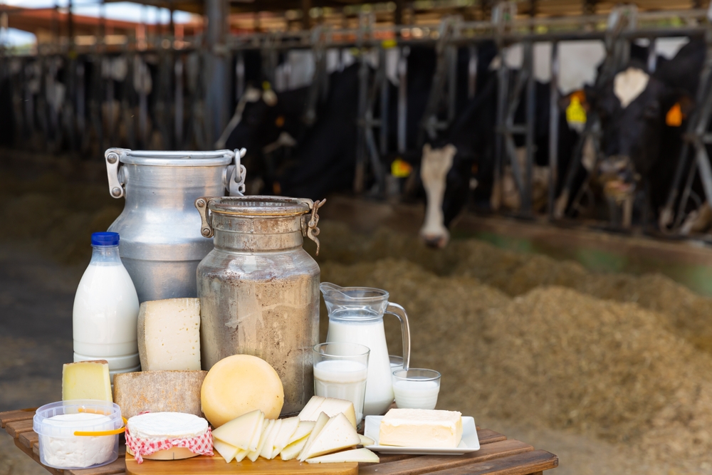 Dairy Farm with Dairy Products